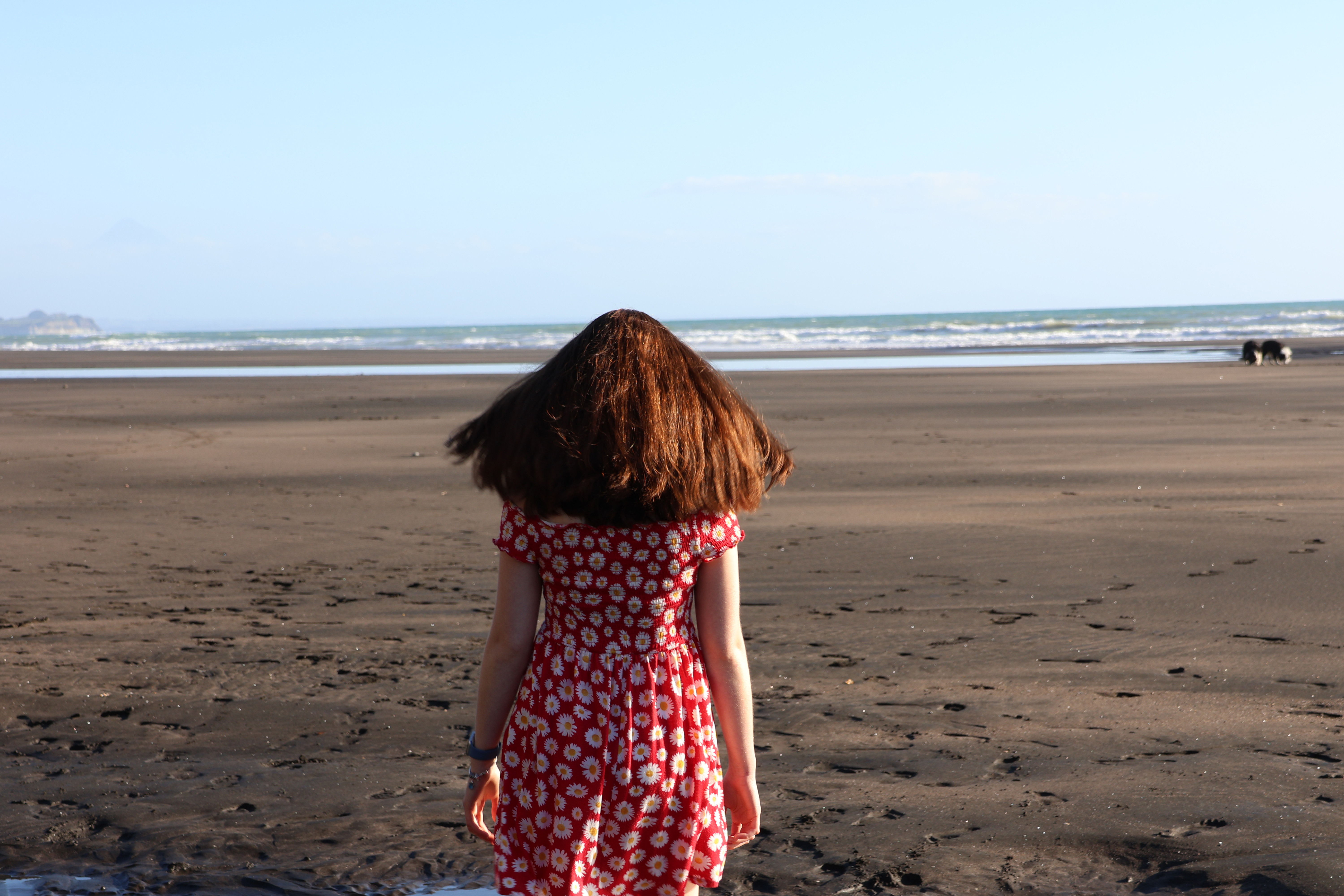 person walking on a beach