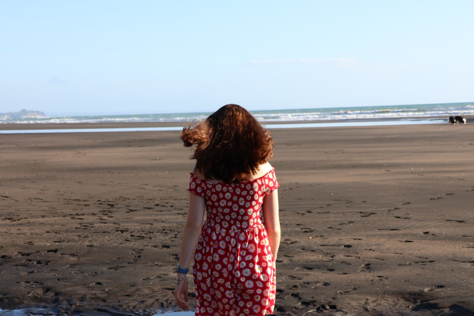 person walking on beach